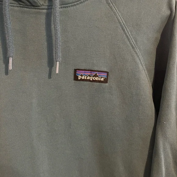Patagonia Women's organic Teal Hoodie - Picture 3 of 5